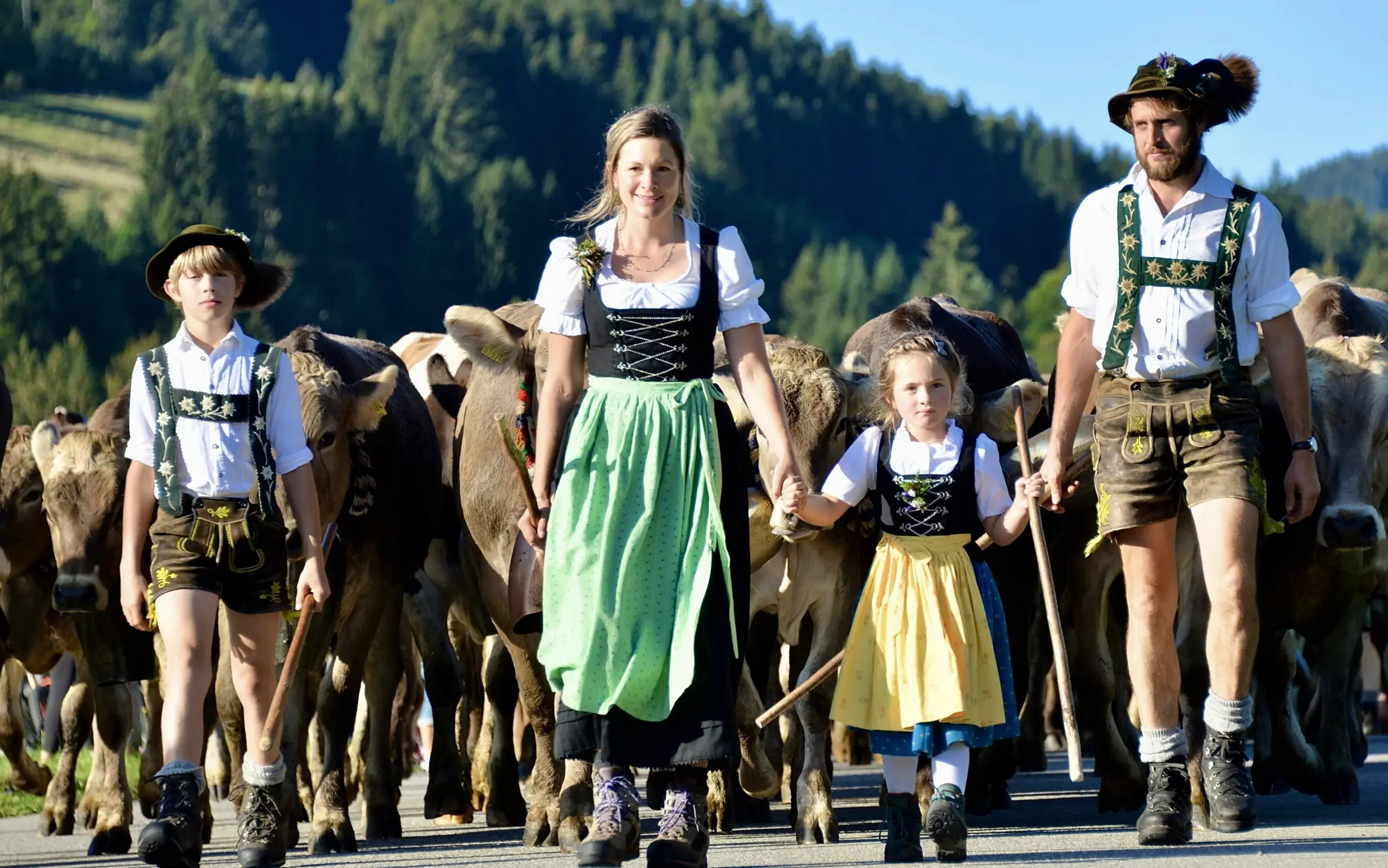 Viehscheid in Gunzesried