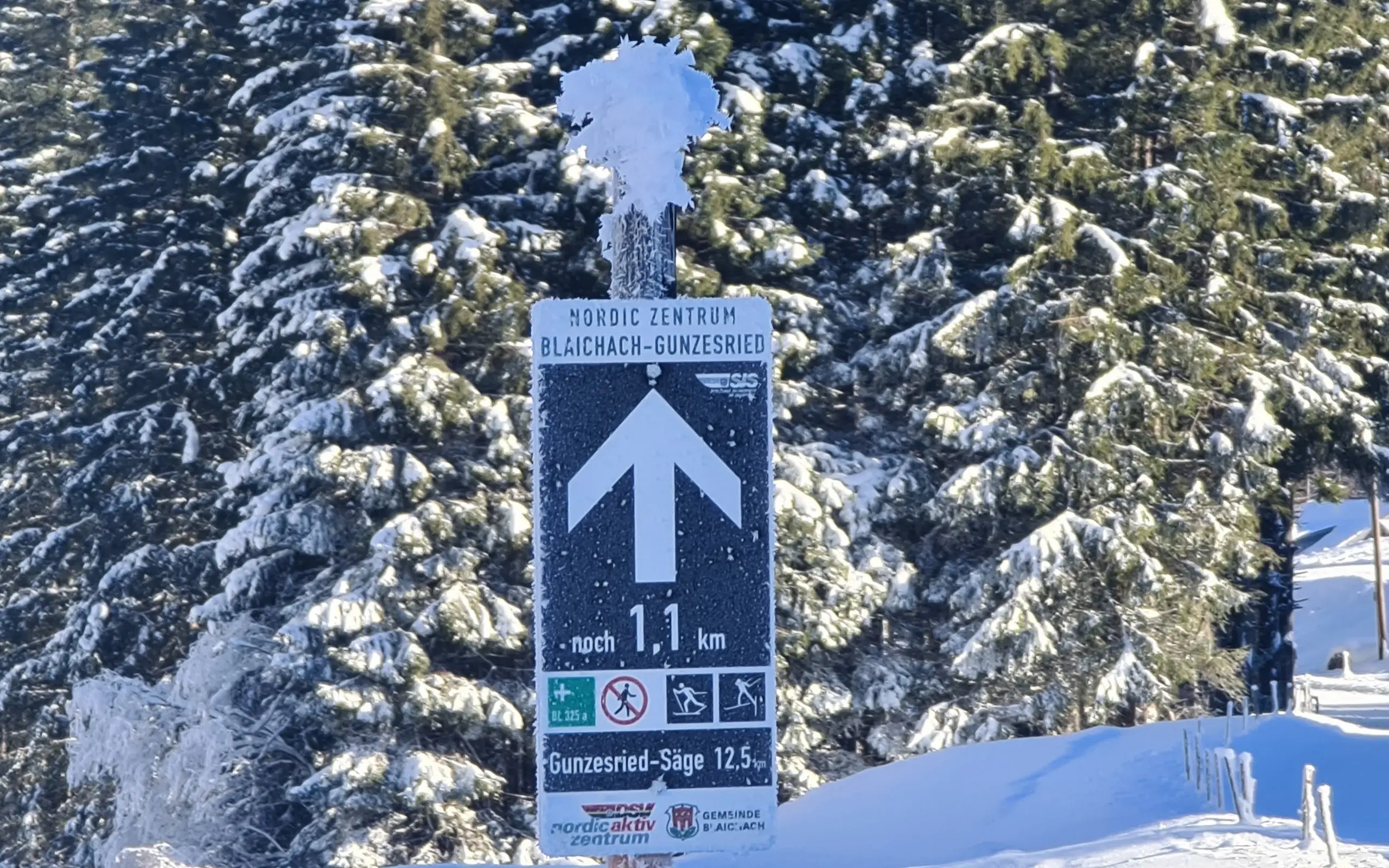 Loipenbeschilderung Gunzesried-Säge