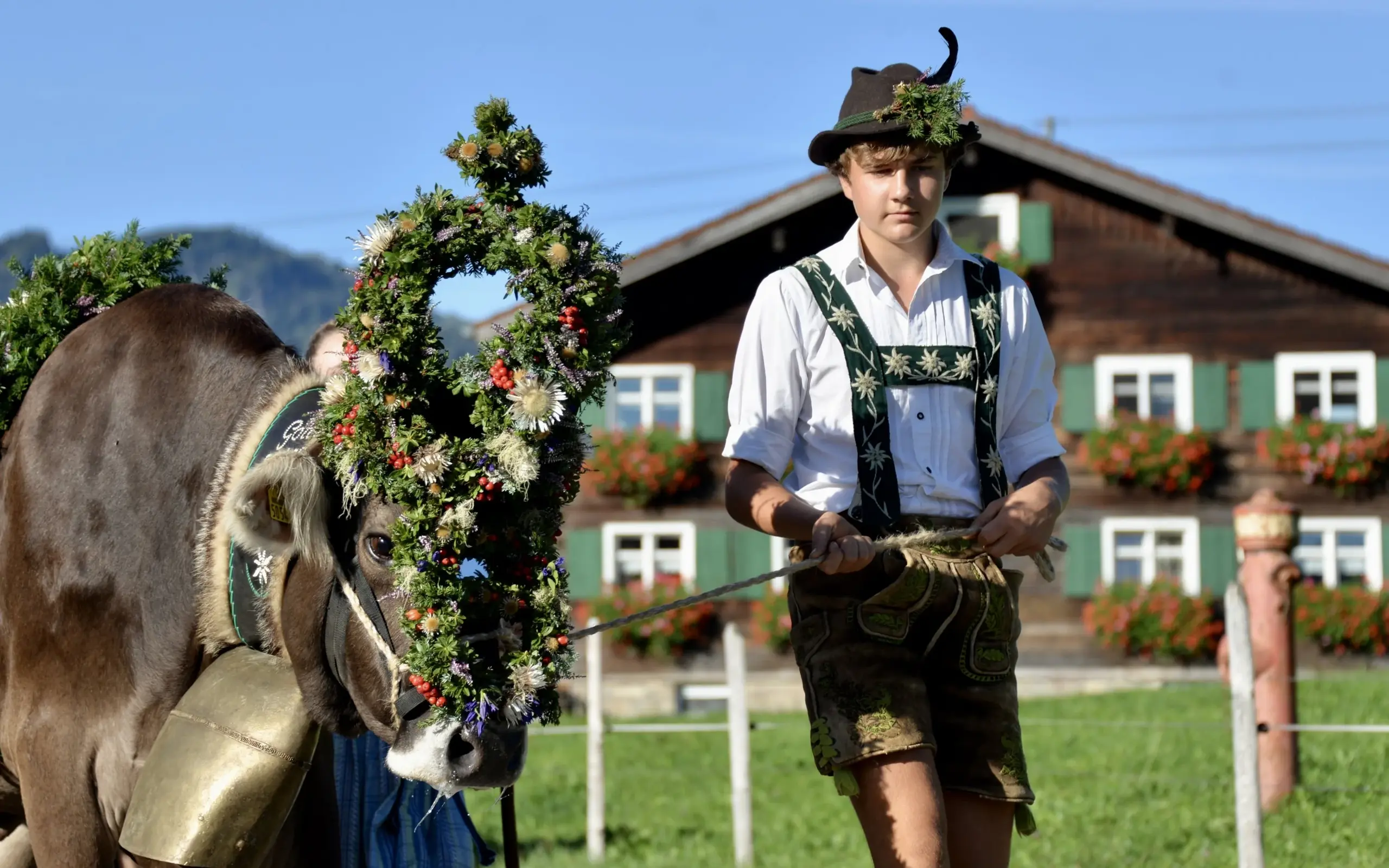 Viehscheid in Gunzesried - Kranzrind