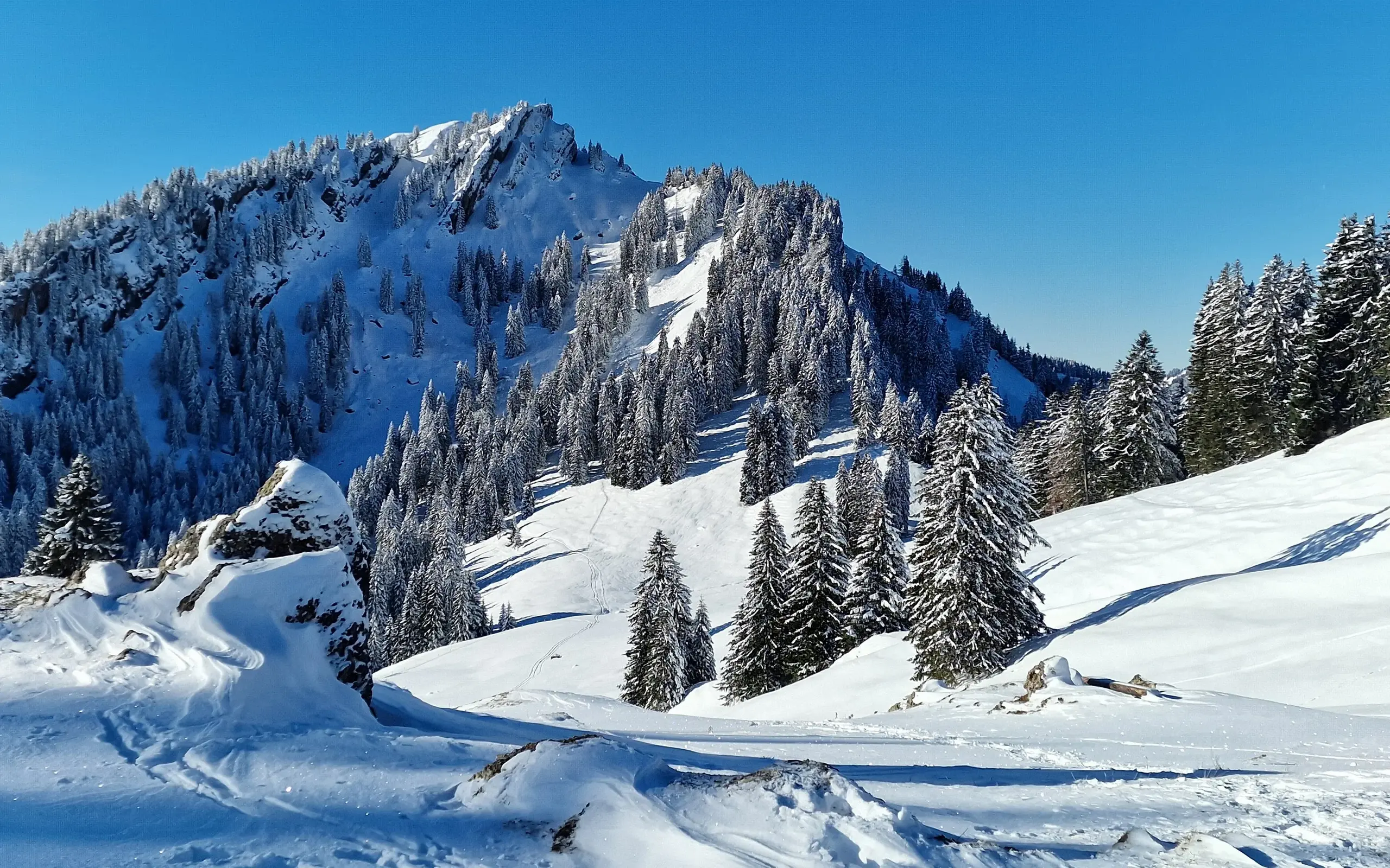 Winter im Naturpark Nagelfluhkette